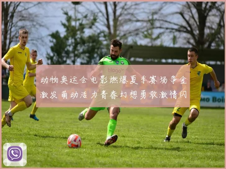 动物奥运会电影燃爆夏季赛场争金激发萌动活力青春幻想勇敢激情闪