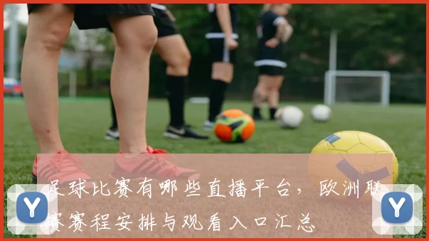足球比赛有哪些直播平台，欧洲联赛赛程安排与观看入口汇总