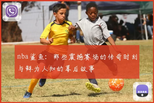nba鲨鱼：那些震撼赛场的传奇时刻与鲜为人知的幕后故事